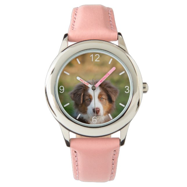Cute Australian Shepherd Dog Puppy - dial-plate   Watch (Front)