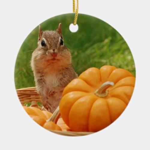 Cute Autumn Chipmunk Ceramic Ornament