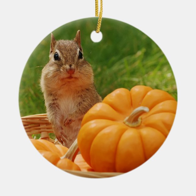 Cute Autumn Chipmunk Ceramic Ornament (Front)