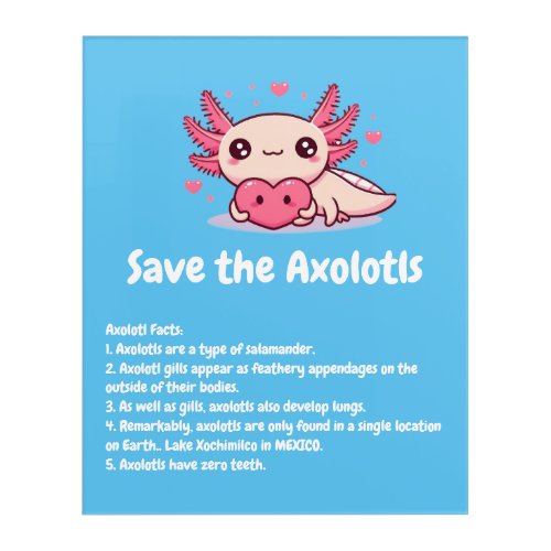 Cute Axolotl facts poster Acrylic Print