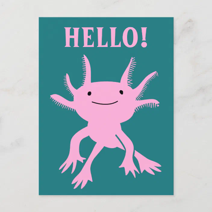 Cute Axolotl Pink Salamander Hello Postcard Zazzle Com