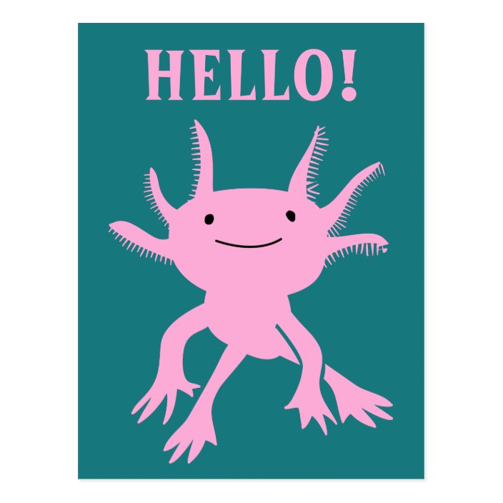 Cute Axolotl Pink Salamander Hello Postcard Zazzle Com