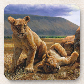 Cute Baby African Lion Cubs Beverage Coaster