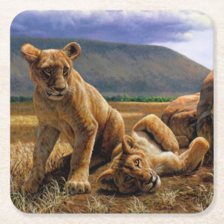 Cute Baby African Lion Cubs Square Paper Coaster