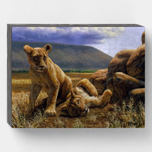 Cute Baby African Lion Cubs Wooden Box Sign