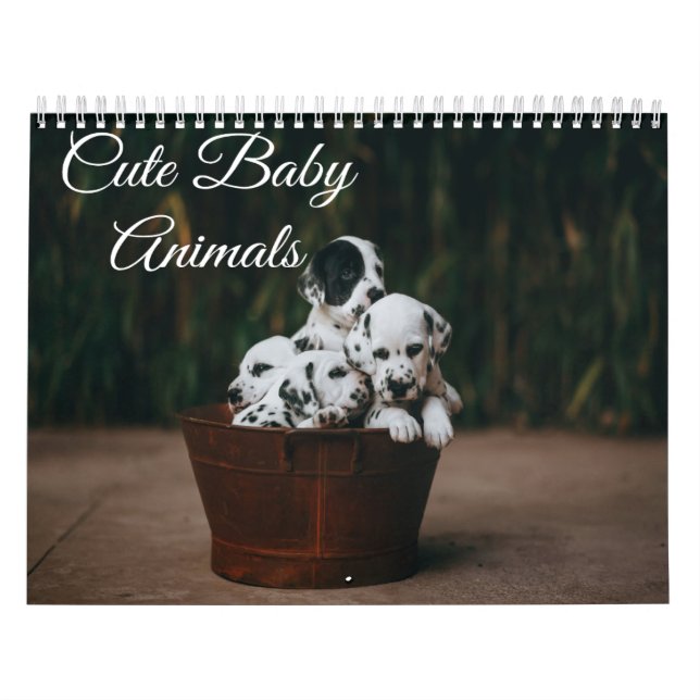 Cute Baby Animals Calendar (Cover)