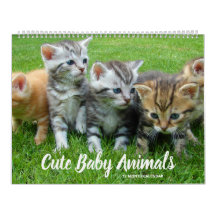Cute Baby Animals