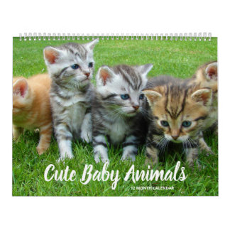 Cute Baby Animals Calendar