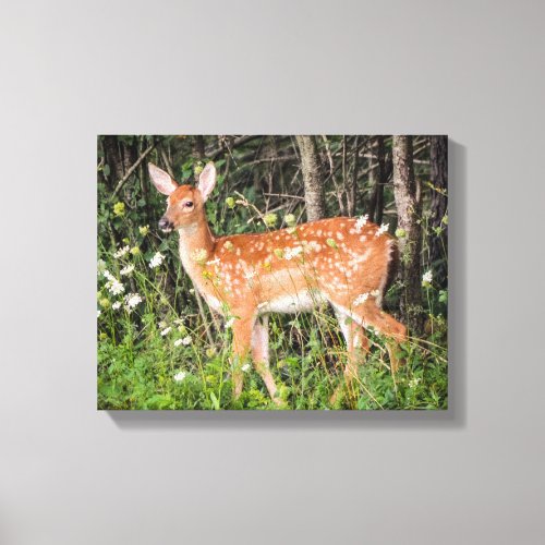 Cute Baby Animals Fawn Deer Canvas Print