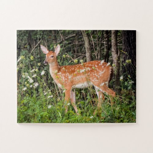 Cute Baby Animals Fawn Deer Oversized Jigsaw Puzzle