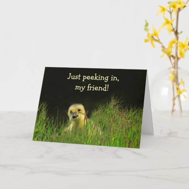 Cute Baby Bird Cancer Support Card (Yellow Flower)