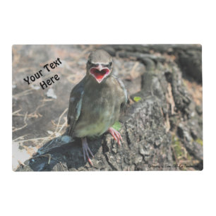 Cute Baby Bird Personalized Placemat