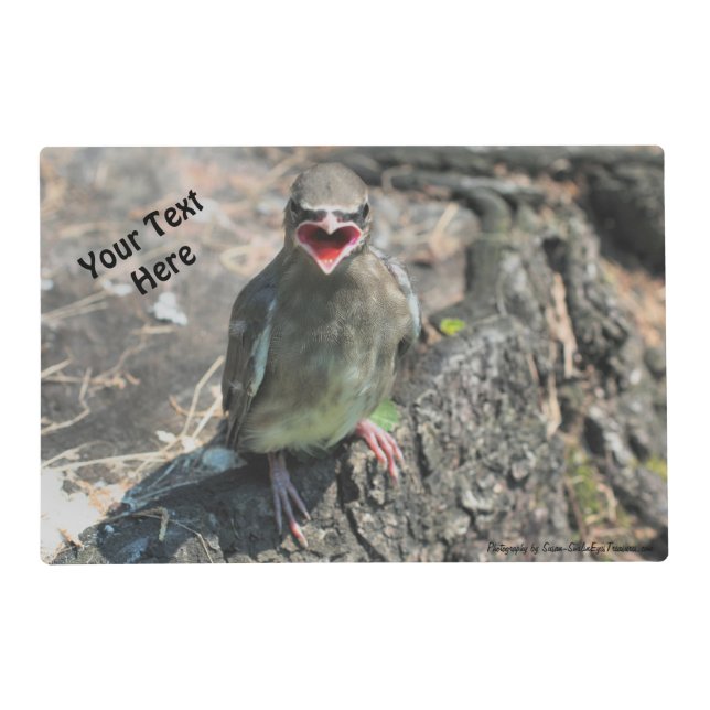 Cute Baby Bird Personalized  Placemat (Front)
