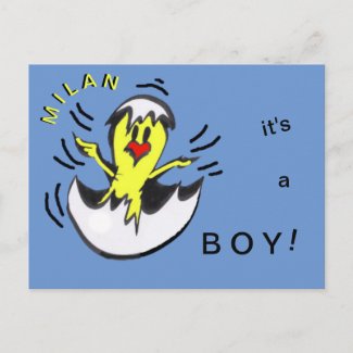 Cute Baby BOY Chick Cartoon Cust. Postcard