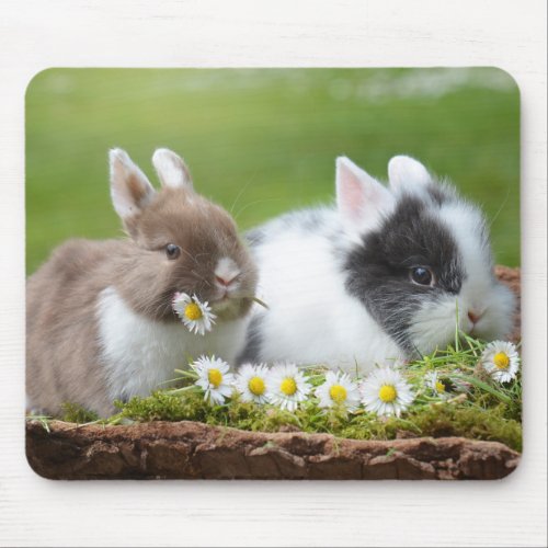 Cute Baby Bunnies with Flowers Mouse Pad