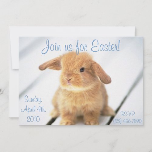 Cute Baby Bunny Easter Invitations