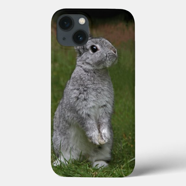 Cute Baby Bunny iPad Case (Back)