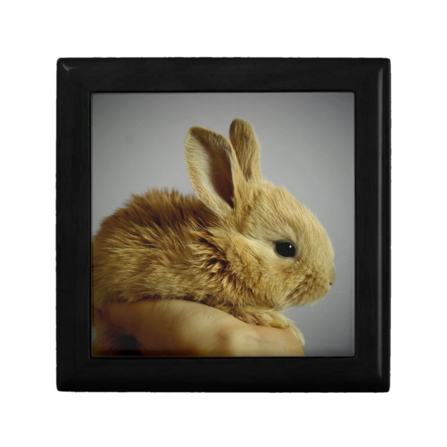 Cute Baby Bunny Rabbit in Hand Gift Box (Front)