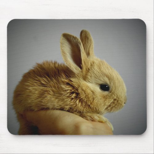 Cute Baby Bunny Rabbit in Hand Mouse Pad