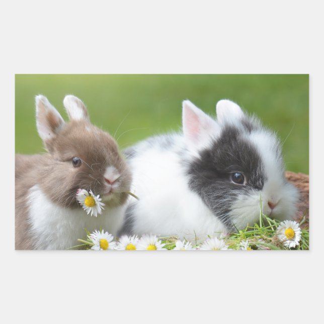 Cute Baby Bunny Rabbits with Flowers Rectangular Sticker (Front)
