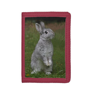 Cute Baby Bunny Wallet
