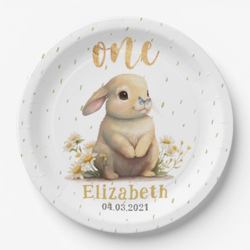 Cute Baby Bunny with Butterfly 1st Birthday Party Paper Plates