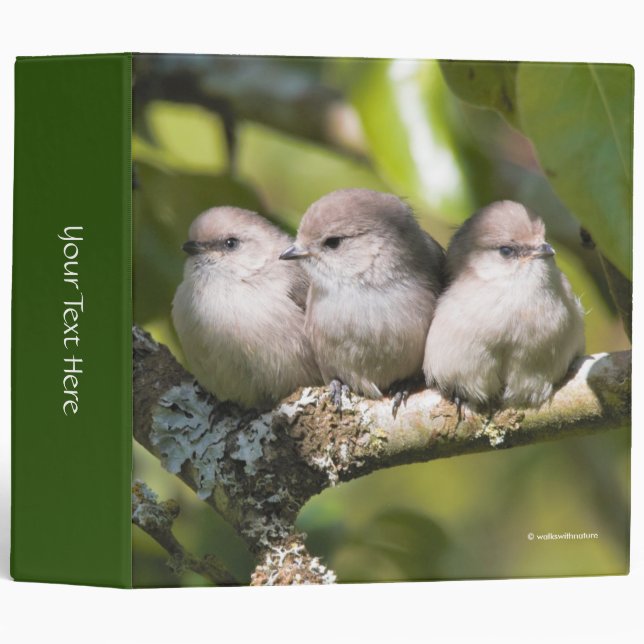 Cute Baby Bushtit Songbirds in the Pear Tree 3 Ring Binder (Front/Spine)