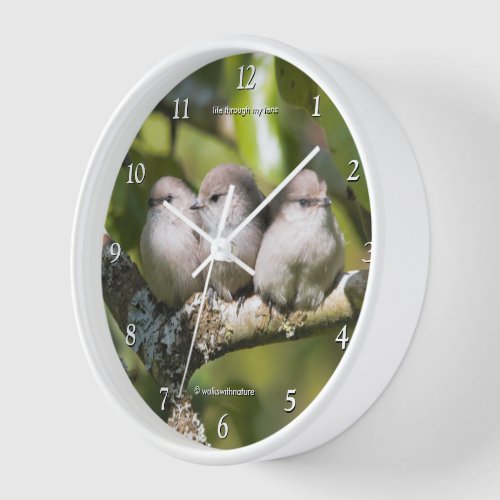 Cute Baby Bushtit Songbirds in the Pear Tree Clock