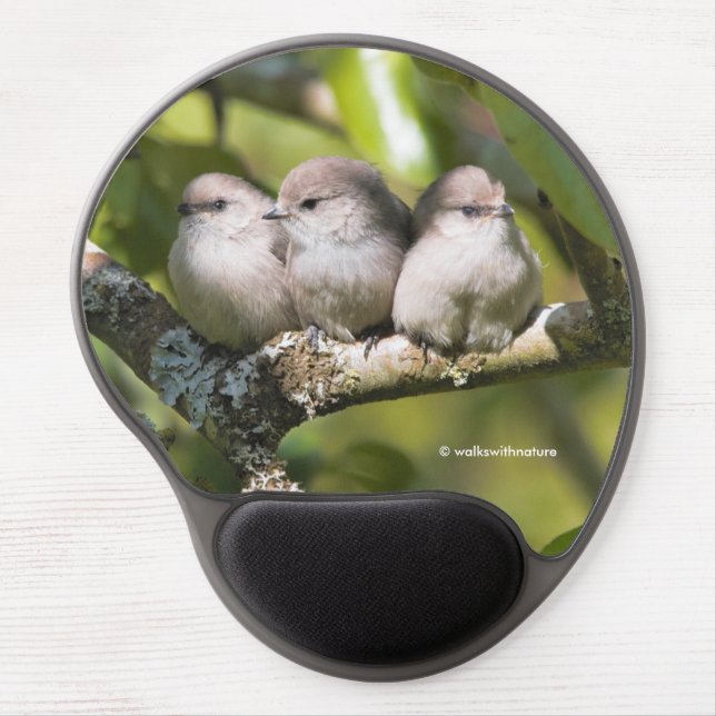 Cute Baby Bushtit Songbirds in the Pear Tree Gel Mouse Pad (Front)