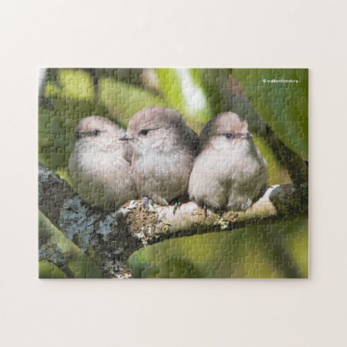 Cute Baby Bushtit Songbirds in the Pear Tree Jigsaw Puzzle