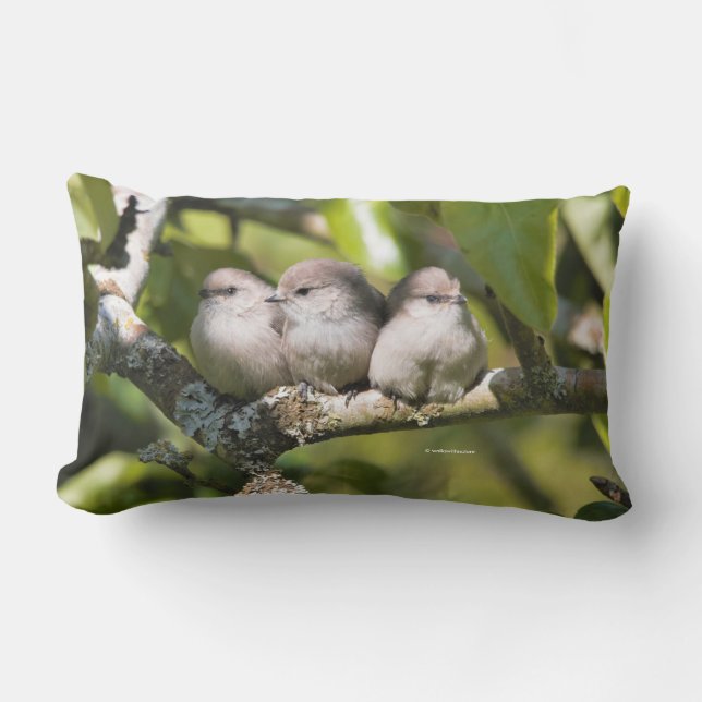 Cute Baby Bushtit Songbirds in the Pear Tree Lumbar Pillow (Front)