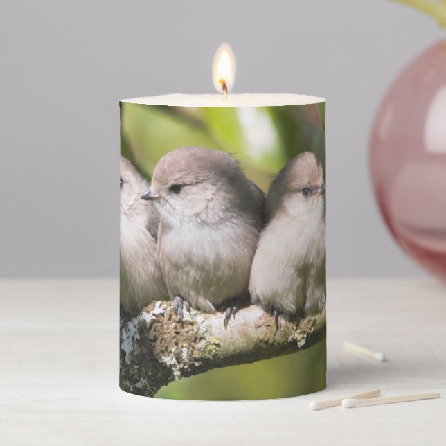 Cute Baby Bushtit Songbirds in the Pear Tree Pillar Candle (In Situ)