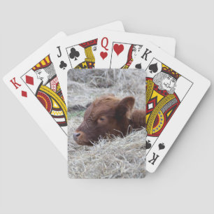Cute Baby Calf, Farmyard Animal Playing Cards