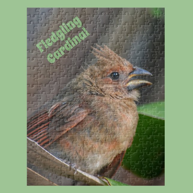 Cute Baby Cardinal Bird Photographic Nature Jigsaw Puzzle (Creator Uploaded)