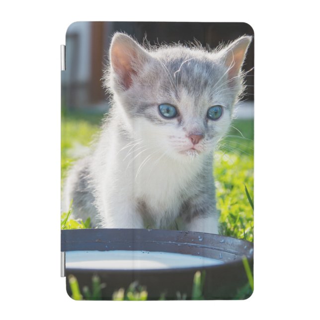 Cute Baby Cat iPad Smart Cover (Front)