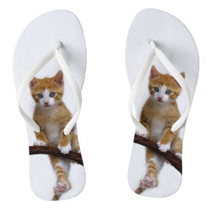 Cute Baby Cat Kitten Funny Gym Photo on - Flip Flops