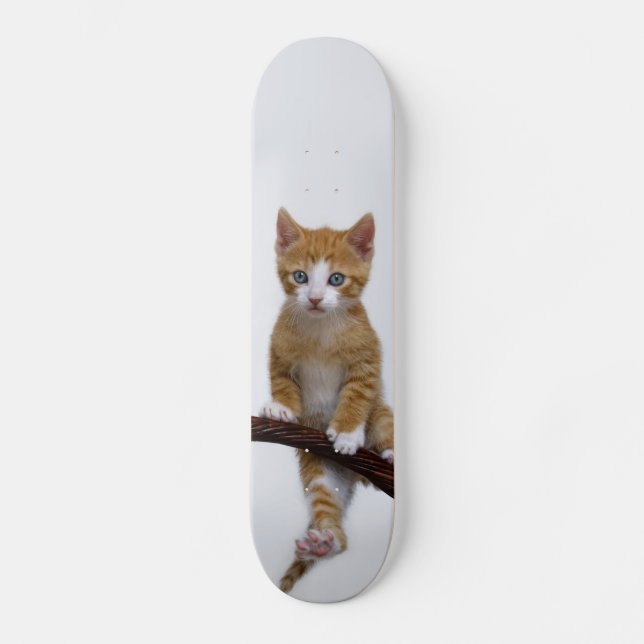 Cute Baby Cat Kitten Funny Gym Photo - Skateboard Deck (Front)