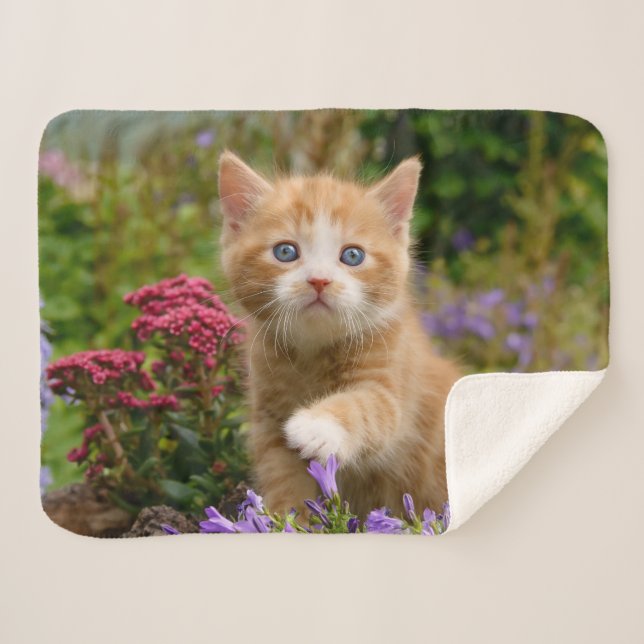 Cute Baby Cat Kitten Pet Playing Animal Photo Head Sherpa Blanket (Front (Horizontal))