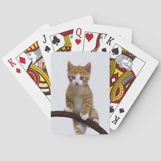 Cute Baby Cat Kitten Play Funny Gym Photo - Poker Cards (Back)