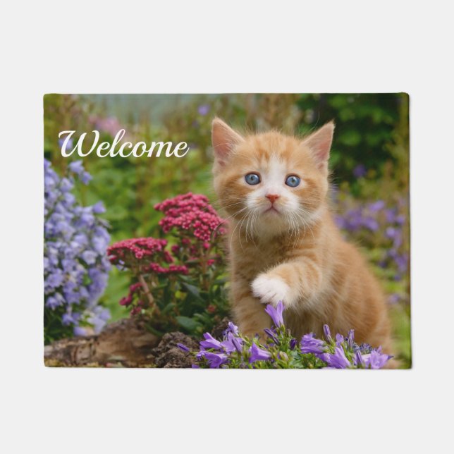 Cute Baby Cat Kitten Playing Photo Head - Welcome Doormat (Front)