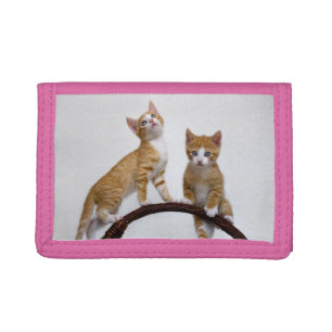 Cute Baby Cats Kittens Funny Gym Photo - Purse Trifold Wallet