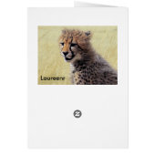 Cute baby Cheetah Cub Cards (Back)