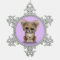 Cute Baby Cheetah Cub on Purple