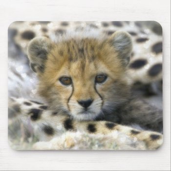 Cute Baby Cheetah Mouse Pad by NatureTales at Zazzle