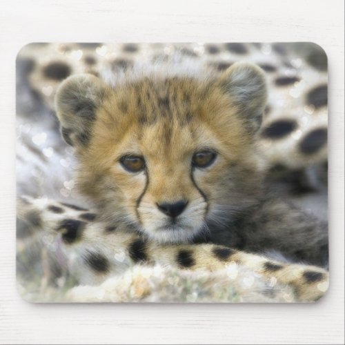 Cute Baby Cheetah Mouse Pad
