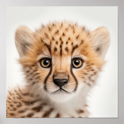 Cute Baby Cheetah Portrait  Square 11 Poster