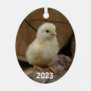 Cute Baby Chick Metal Ornament
