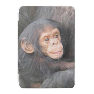 Cute Baby Chimpanzee Photo iPad Mini Cover