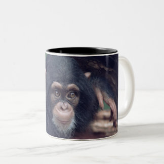 cute baby Chimpanzee Two-Tone Coffee Mug