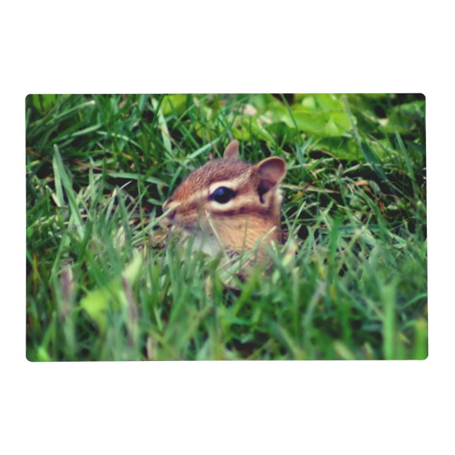 Cute Baby Chipmunk Peeking Wildlife   Placemat (Front)